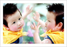 ��˫��̥��������������Զ/���Զ